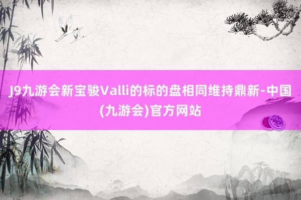 J9九游会新宝骏Valli的标的盘相同维持鼎新-中国(九游会)官方网站