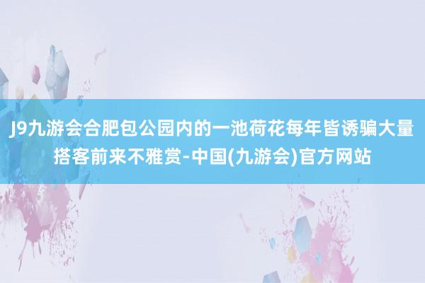 J9九游会合肥包公园内的一池荷花每年皆诱骗大量搭客前来不雅赏-中国(九游会)官方网站